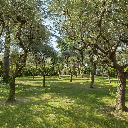 Delle Coste With Pool Lazise