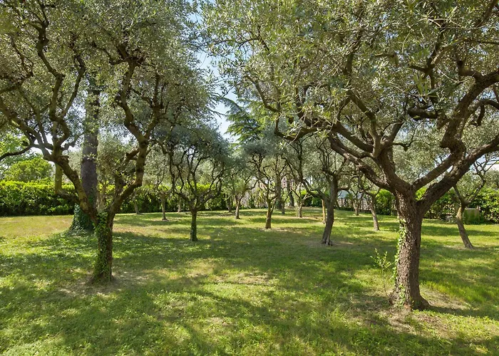 Delle Coste With Pool لاتيزي